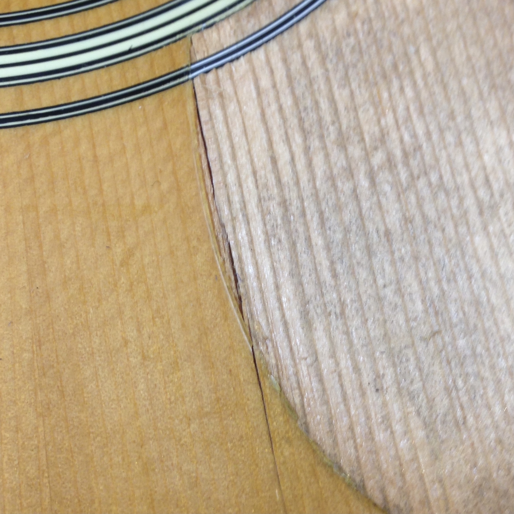 Vintage Acoustic Guitar Pickguard Replacement Calico Guitarworks